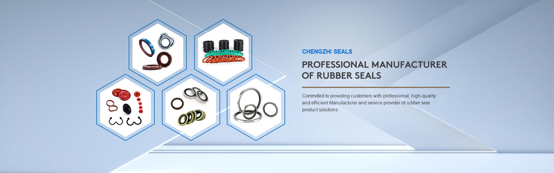 quality Oil Seal Ring factory