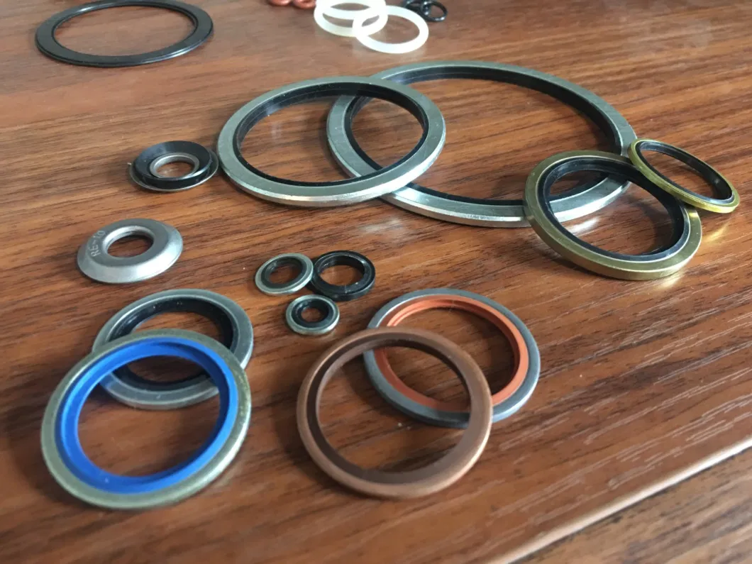 Strength Factory China Top5 Gasket Seal Combination Gasket Washer Seal Thrust Washer